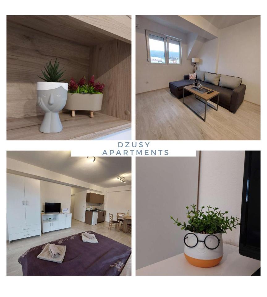 Dzusy Apartments Ohrid Extérieur photo